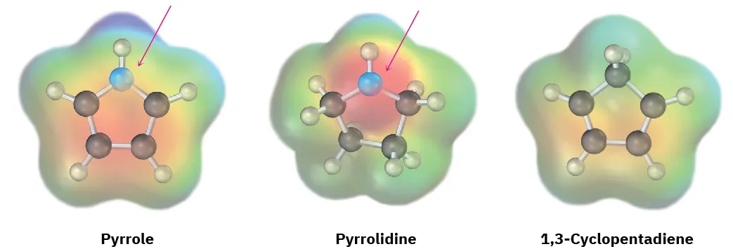 The ball-and-stick model in electrostatic potential maps of pyrrole, pyrrolidine, and 1,3-cyclopentadiene. An arrow points toward the nitrogen atoms of pyrrole and pyrrolidine.