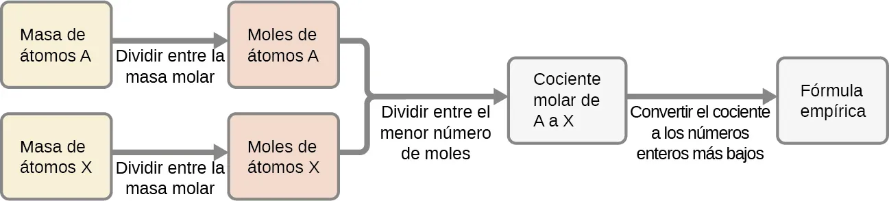 Se muestra un diagrama de flujo compuesto por seis recuadros, dos de las cuales están conectados entre sí por una flecha orientada hacia la derecha y situados encima de otros dos que también están conectados por una flecha orientada hacia la derecha. Estas dos filas de recuadros están conectadas verticalmente por una línea que lleva a una flecha orientada a la derecha y los dos últimos recuadros, conectados por una última flecha orientada a la derecha. Los dos primeros recuadros superiores tienen las frases "Masa de átomos A" y "Moles de átomos A" respectivamente, mientras que la flecha que los une tiene la frase "Dividir entre la masa molar" escrita debajo. Los dos segundos recuadros inferiores tienen las frases "Masa de átomos X" y "Moles de átomos X" respectivamente, mientras que la flecha que los une tiene la frase "Dividir entre la masa molar” escrita debajo. La flecha que une los recuadros superior e inferior con los dos últimos recuadros tiene la frase "Dividir entre el menor número de moles” escrita debajo. Los dos últimos recuadros tienen las frases "Relación molar de A a X" y "Fórmula empírica" respectivamente, mientras que la flecha que los une tiene la frase "Convertir la relación a los números enteros más bajos” escrita debajo.