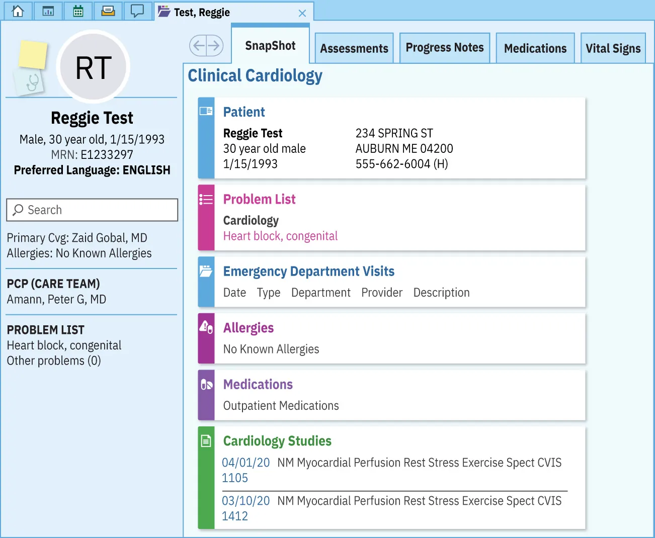 A color screenshot showing an electronic health record. The record includes the patient's name, age, preferred language, health issues, health visits, allergies, and medications.