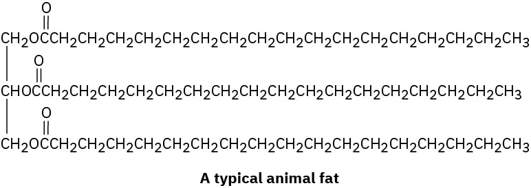 The chemical structure of typical animal fat featuring a three tier carbon chain.