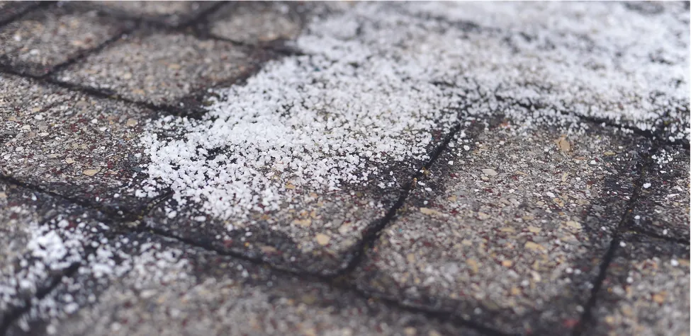 This is a photo of damp brick pavement on which a white crystalline material has been spread.