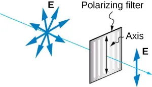 An arrow indicates light is going from a diagram E with arrows pointing in all directions, then a Polarizing filter with a vertical arrow in one direction labeled Axis. The light diagram to the right of the filter shows only one vertical line with arrows pointing up and down.
