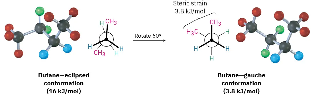 Eclipsed conformation of butane is rotated by 60 degrees to produce gauche conformation of butane.