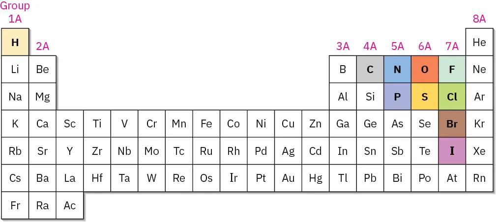 The periodic table showcases the systematic arrangement of elements with labeled groups. Hydrogen, carbon, nitrogen, oxygen, fluorine, phosphorus, sulfur, chlorine, bromine, and iodine are shaded in different colors.