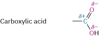 Carboxylic acid has a carbon with an open single bond and a partial positive charge double bonded to oxygen and single bonded to hydroxyl each with a partial negative charge.