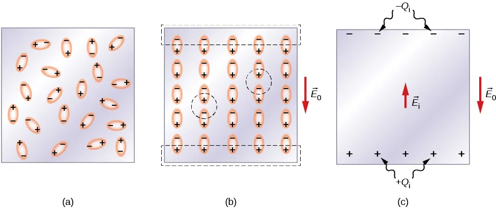 Rysunek a przedstawia dielektryk jako zbiór dipoli elektrycznych, czyli cząsteczek o ładunku dodatnim z jednej strony, a ujemnym z drugiej. Cząsteczki są obrócone w losowych kierunkach. Rysunek b przedstawia ten sam dielektryk w polu E z indeksem dolnym 0, zaznaczonym strzałką skierowaną w dół. Teraz wszystkie dipole obrócone są w tym samym kierunku, to znaczy pionowo, z ładunkiem ujemnym na górze i ładunkiem dodatnim na dole. Okręgami przerywanymi zaznaczono pary przeciwnych biegunów sąsiadujących dipoli, co symbolizuje, że ładunki te znoszą się. Najwyższa warstwa ładunków ujemnych oraz najniższa warstwa ładunków dodatnich zostały zaznaczone przerywanymi prostokątami, co wskazuje, że ładunki nie mają z czym się znieść. Rysunek c przedstawia tę samą sytuację z pominięciem ładunków, które się zniosły. Dielektryk znajduje się w polu E z indeksem dolnym 0 skierowanym w dół. Na górnej krawędzi dielektryka zebrały się ładunki ujemne oznaczone minus Q z indeksem dolnym i, a na dolnej krawędzi ładunki dodatnie oznaczone plus Q z indeksem dolnym i. Wytwarzają one w dielektryku indukowane pole elektryczne E z indeksem dolnym i skierowane w górę.