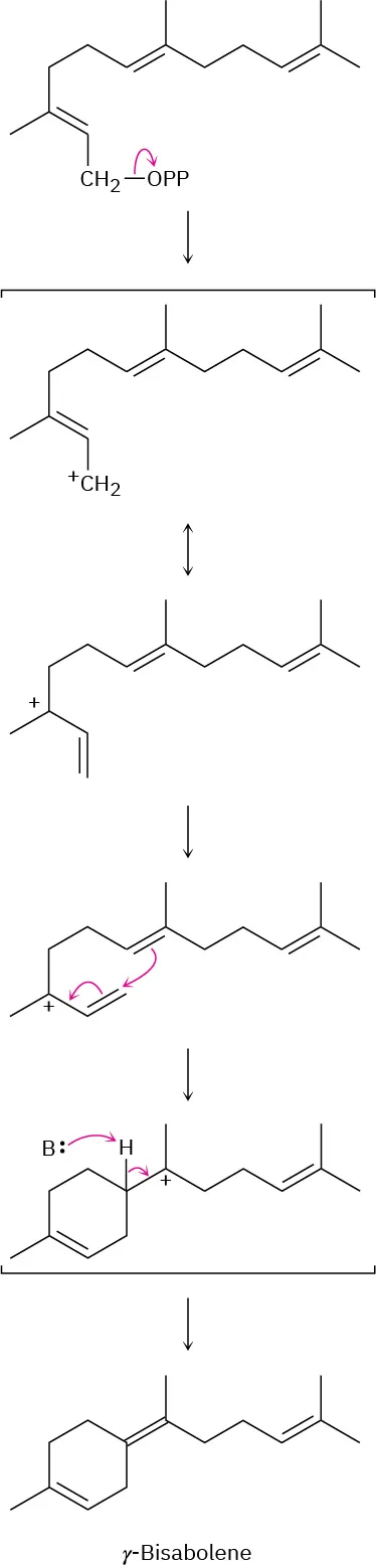 The structure shows the formation of gamma-bisabolene from several carbocations involving four steps.