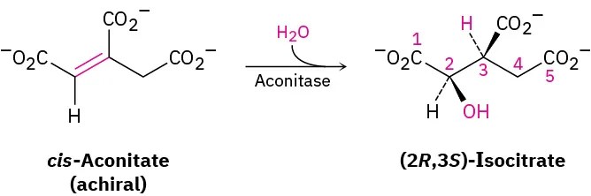 A reaction shows cis-aconitate (achiral) reacting with water in the presence of aconitase to form (2 R, 3 S)-isocitrate.