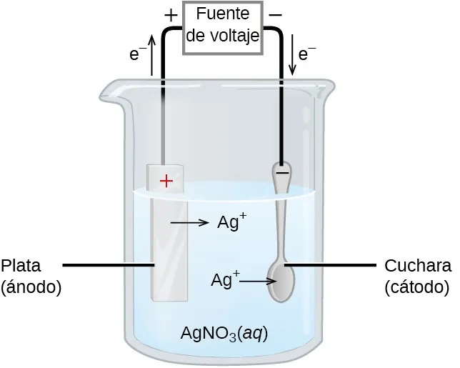 Esta figura contiene un diagrama de una celda electroquímica. Se muestra un vaso de precipitados que está lleno hasta un poco más de la mitad. El vaso de precipitados contiene una solución clara e incolora que está marcada como "A g N O subíndice 3 (a q)" Una tira de plata está casi sumergida en el líquido de la izquierda. Esta tira está marcada como "Plata (ánodo)". La parte superior de la tira está marcada con un símbolo más rojo. Una flecha apunta a la derecha desde la superficie de la tira metálica en la solución hasta la marcación "A g superíndice más" a la derecha. Una cuchara está igualmente suspendida en la solución y está marcada como "Cuchara (cátodo)". Está marcada con un signo negativo negro en la punta del mango de la cuchara por encima de la superficie del líquido. Una flecha se extiende desde la marcación "A g superíndice más" hasta la cuchara en la derecha. Un alambre se extiende desde la parte superior de la cuchara y la tira hasta un rectángulo etiquetado como "Fuente de voltaje". Una flecha apunta hacia arriba desde la tira de plata que está marcada como "e superíndice negativo". Del mismo modo, una flecha apunta hacia abajo a la derecha, a la superficie de la cuchara que también está marcada como "e superíndice negativo". A la izquierda de la fuente de voltaje se muestra un signo positivo y a su derecha un negativo.