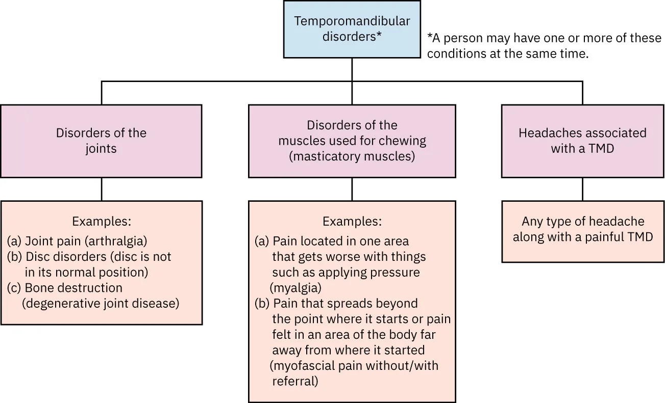 Chart showing Temporomandibular disorders, noting that a person may have one or more of these conditions at the same time: Disorders of the joints, Examples: (a) Joint pain (arthralgia), (b) Disc disorders (disc is not in its normal position), (c) Bone destruction (degenerative joint disease); Disorders of the muscles used for chewing (masticatory muscles), Examples: (a) Pain located in one area that gets worse with things such as applying pressure (myalgia), (b) Pain that spreads beyond the point where it starts or pain felt in an area of the body far away from where it started (myofascial pain without/with referral); Headaches associated with a TMD, Any type of headache along with a painful TMD.