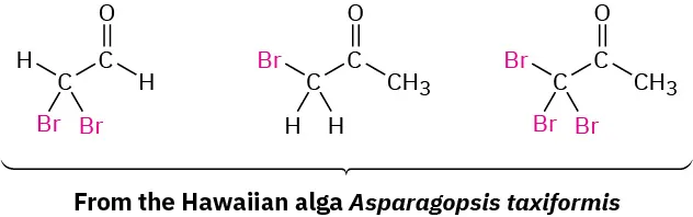 The figure shows three structures, dibromo acetaldehyde, bromoacetone, and 1,1,1 tribromoacetone. These are labeled as from the Hawaiian alga Asparagopsis taxiformis.