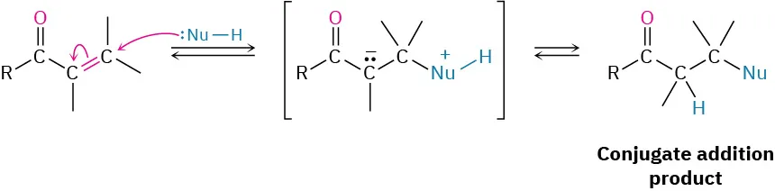 The reversible reaction shows a conjugated carbonyl compound reacting with a nucleophile to form an intermediate with a carbanion. Further reaction of intermediate yields a conjugate addition product.