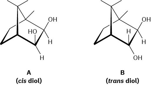 Structure A (cis diol) shows bicyclic heptane with hydroxyls at the top of C2 and C3. Structure B (trans diol) shows a hydroxyl group at the bottom of C 2.