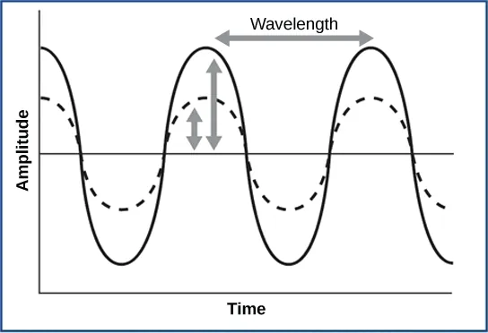 A graph shows time going left to right, with amplitude going up and down. The graph shows a regularly repeating sine wave line running from left to right while going gradually up, then down, then up again. The horizontal distance between two crests is the wavelength. The amplitude is the height of the wave from the average height to the peak. On the graph, two waves with the same wavelength are superimposed on one another.  The dashed wave does not go as far up or down as the solid wave.
