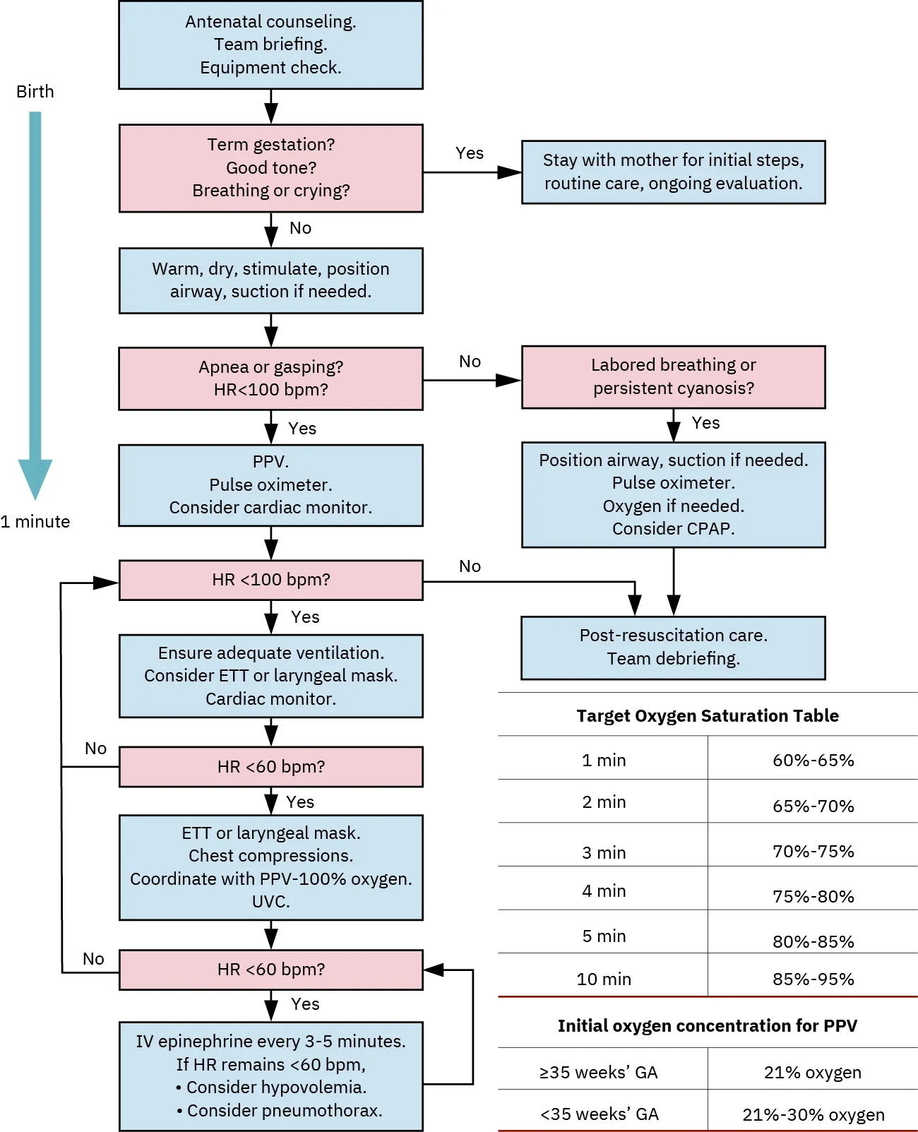 A chart detailing the Neonatal resuscitation algorithm.