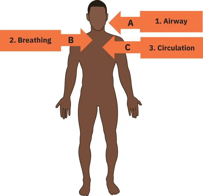 Illustration of person with arrows pointing to throat (labeled A 1. Airway), top of chest (labeled B 2. Breathing), and middle of chest (labeled C 3. Circulation).