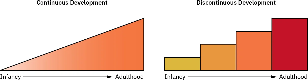 Illustration showing Continuous Development as an incline from Infancy (lower end) through Adulthood and Discontinuous Development as various colored steps from Infancy (shorter steps) to Adulthood (taller steps).