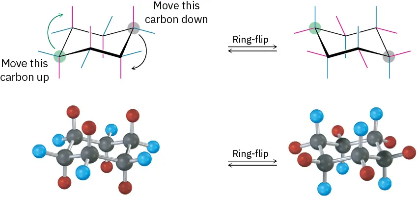 The chair conformation and ball and stick model of substituted cyclohexane undergo ring-flip to form new conformation and model. The first chair conformation indicates that carbon moving clockwise.