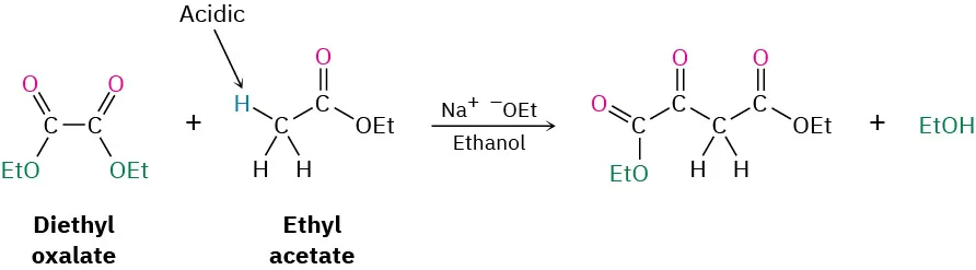 Diethyloxalate and ethyl acetate (acidic alpha hydrogen) plus sodium ethoxide in ethanol form diethyl-2-oxosuccinate (four-carbon chain, ethyl ester at C 1 and C 4, oxo at C 2) and ethanol.