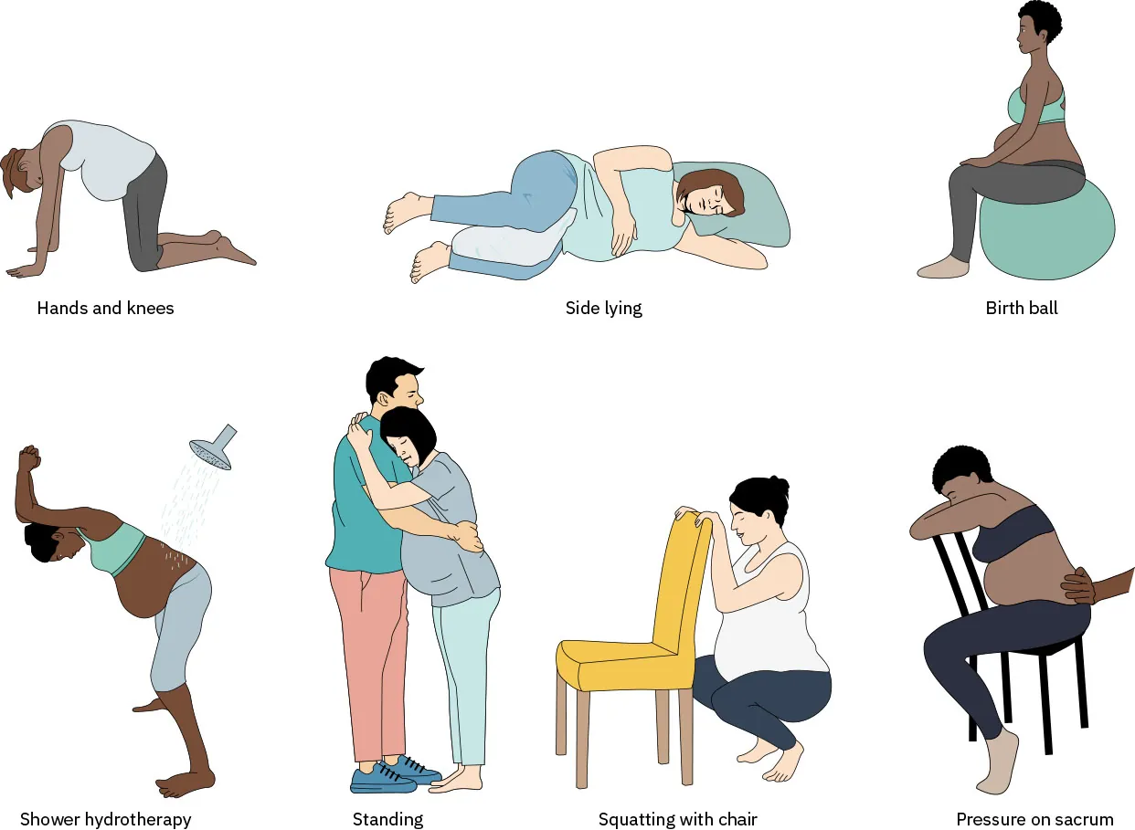 Image of various labor positions: hands and knees, side lying, birth ball, shower hydrotherapy, standing, squatting with chair, and pressure on sacrum.