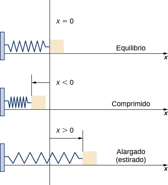 Esta figura tiene tres imágenes. La primera es el eje x. A la izquierda hay un bloque vertical. En el bloque hay un resorte que termina en el eje y y tiene la marca x = 0. La imagen está marcada como equilibrio. La segunda imagen es el mismo resorte que termina antes del eje y. Tiene x<0 y está marcado como comprimido. La tercera imagen es el mismo resorte que se encuentra más allá del eje y. Tiene x>0 y está marcado como estirado.