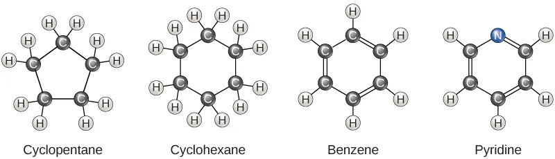 Four molecular structures are shown. Cyclopentane is a ring consisting of five carbons, each with two hydrogens attached. Cyclohexane is a ring of six carbons, each with two hydrogens attached. Benzene is a six-carbon ring with alternating double bonds. Each carbon has one hydrogen attached. Pyridine is the same as benzene, but a nitrogen is substituted for one of the carbons. No hydrogens are attached to the nitrogen.