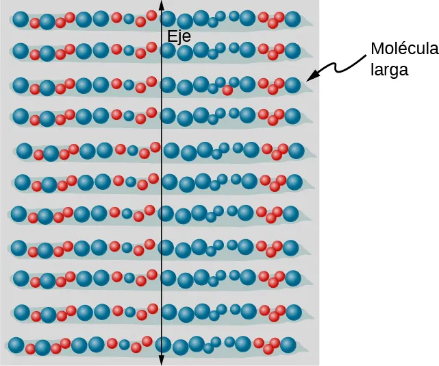 La figura muestra una ilustración de una pila de moléculas horizontales largas e idénticas. Se dibuja un eje vertical sobre las moléculas.