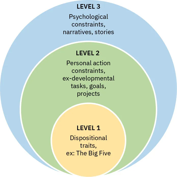 Inner layer - Level 1: Dispositional traits (the Big Five). Middle layer - Level 2: Personal action constraints, ex-developmental tasks, goals, projects. Outer layer -Level 3: Psychological constraints, narratives, stories.