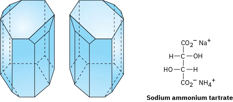The figure shows the drawing of two sodium ammonium tartrate crystals (dextrorotatory and  levorotatory) and the structure of sodium ammonium tartrate.