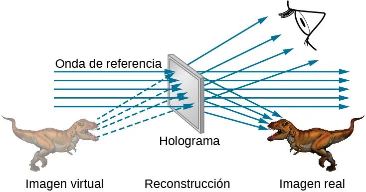 Una pantalla en el centro está marcada como holograma y reconstrucción. Los rayos marcados como onda de referencia la atraviesan de izquierda a derecha. El dinosaurio de la derecha está marcado como imagen real. El dinosaurio está orientado hacia la izquierda. Los rayos de la pantalla inciden sobre él. A la izquierda de la pantalla aparece una imagen difuminada de un dinosaurio mirando hacia la derecha. Este se denomina imagen virtual. Los rayos que salen de aquí atraviesan la pantalla y llegan al ojo del observador.
