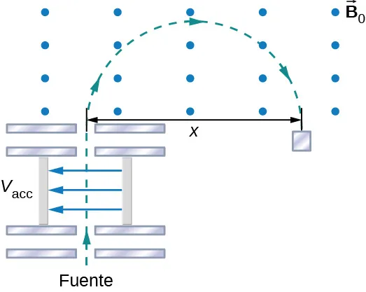 Esquema del espectrómetro de masas. La fuente está en la parte inferior. Las partículas son aceleradas por la diferencia de potencial V acc, luego entran en una región en la que solo hay un campo magnético uniforme B cero. En esa región, las partículas siguen una trayectoria semicircular de diámetro x en el sentido de las agujas del reloj.