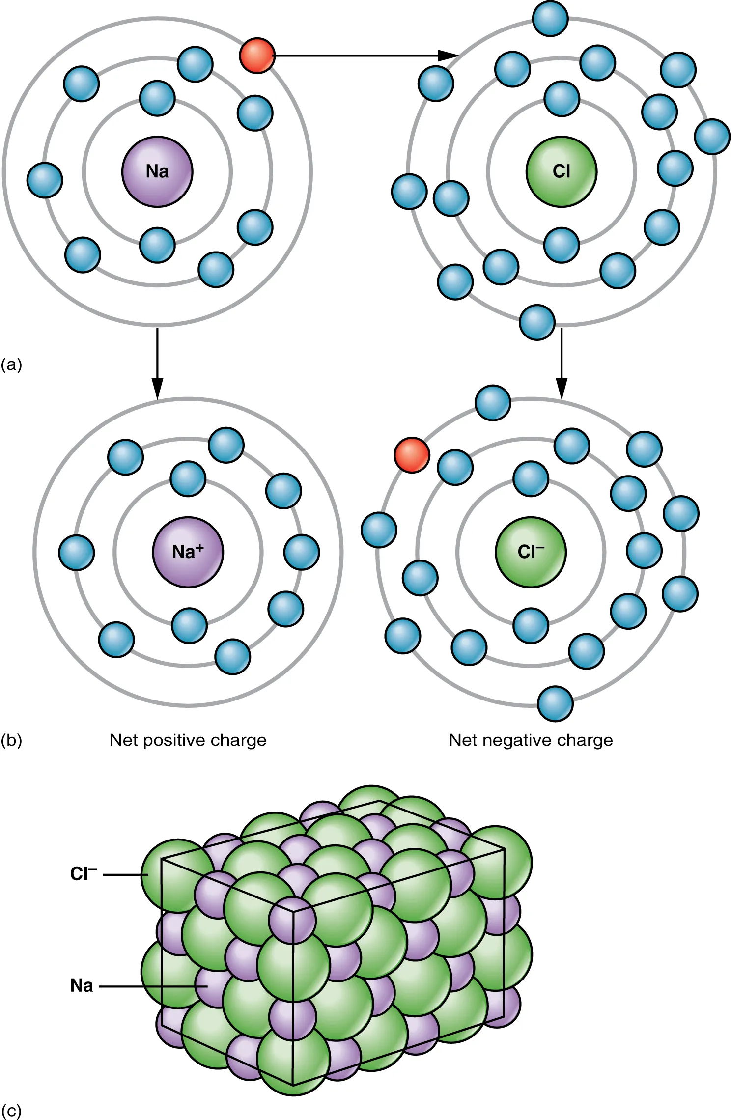 The top panel of this figure shows the orbit model of a sodium atom and a chlorine atom and arrows pointing towards the transfer of electrons from sodium to chlorine to form sodium and chlorine ions. The bottom panel shows sodium and chloride ions in a crystal structure.