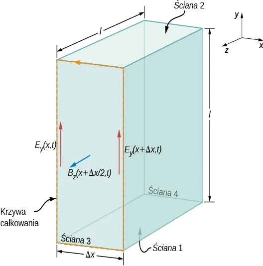 Rysunek przedstawia prostopadłościan o wymiarach l na l na delta x. Boki górny i dolny są równoległe do płaszczyzny xz i oznaczone jako bok 2 i odpowiednio bok 1. Boki przedni i tylny, równoległe do płaszczyzny xy są oznaczone jako bok 3 i odpowiednio bok 4. Granica boku 3 jest oznaczona wspólną ścieżką. Dwie strzałki wzdłuż boku 3, wskazujące w górę dodatniego y są oznaczone jako E ze znakiem y nawias x, t nawias a E ze znakiem y nawias x plus delta x,t nawias. Strzałka z lewej strony bryły, wskazująca dodatni kierunek z jest oznaczona B ze znakiem z nawias x plus delta x przez 2, t 2,t nawias.
