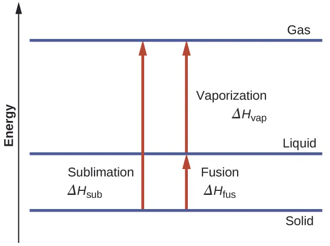 A diagram is shown with a vertical line drawn on the left side and labeled “Energy” and three horizontal lines drawn near the bottom, lower third and top of the diagram. These three lines are labeled, from bottom to top, “Solid,” “Liquid” and “Gas.” Near the middle of the diagram, a vertical, upward-facing arrow is drawn from the solid line to the gas line and labeled “Sublimation, delta sign, H, subscript sub.” To the right of this arrow is a second vertical, upward-facing arrow that is drawn from the solid line to the liquid line and labeled “Fusion, delta sign, H, subscript fus.” Above the second arrow is a third arrow drawn from the liquid line to the gas line and labeled, “Vaporization, delta sign, H, subscript vap.”