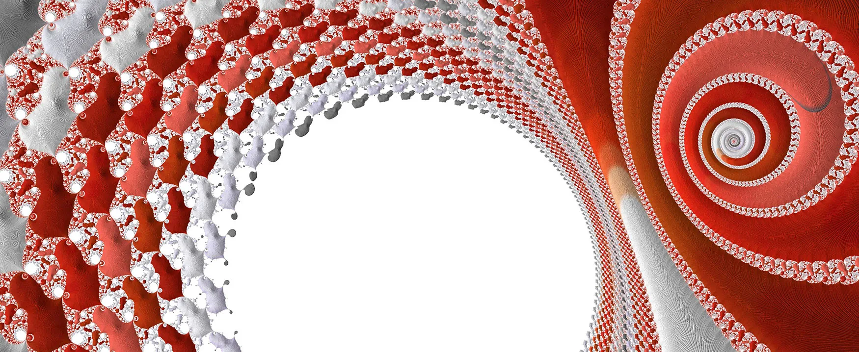 an image of a fractal