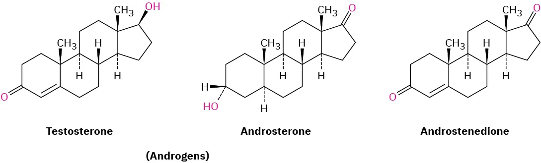 The three structures of hormones or androgens named testosterone, androsterone, and androstenedione.