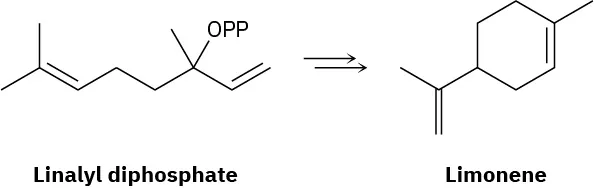 The conversion reaction of linalyl diphosphate to limonene. Linalyl diphosphate comprises 8-carbon chain with double bonds at C1 and C6 and O P P at C3. Limonene is cyclic.