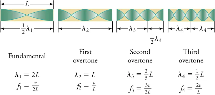 The fundamental frequency is v/2L and has a wavelength of 2L. The first overtone has a wavelength of L and a frequency of v/L. The second overtone has a wavelength of 2L/3 and a frequency of 3v/2L. The third overtone has a wavelength of ½L and a frequency of 2v/L.