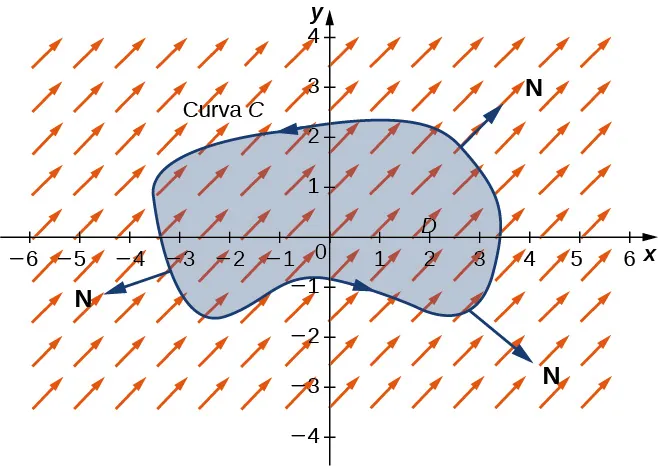 Un campo vectorial en dos dimensiones. Una curva genérica C encierra una región simple D alrededor del origen orientada en sentido contrario a las agujas del reloj. Los vectores normales N apuntan hacia fuera y lejos de la curva en los cuadrantes 1, 3 y 4.
