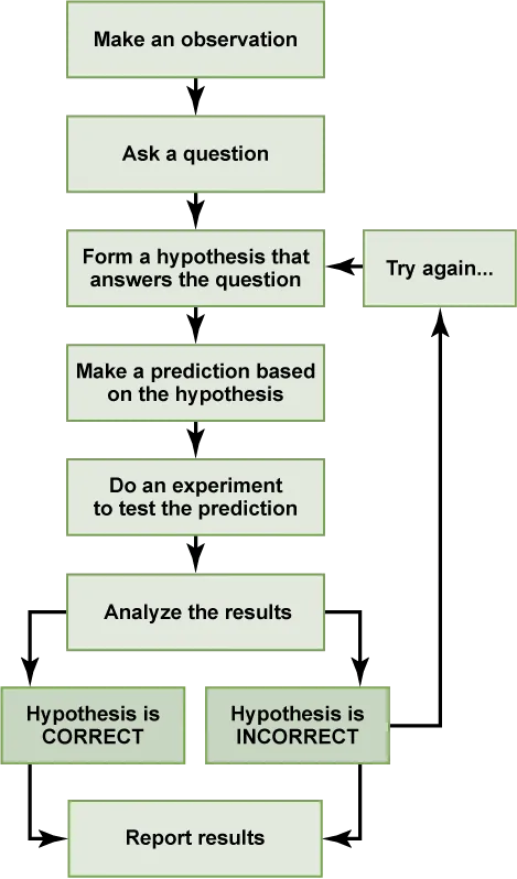 A flow chart shows the steps in the scientific method. In step 1, an observation is made. In step 2, a question is asked about the observation. In step 3, an answer to the question, called a hypothesis, is proposed. In step 4, a prediction is made based on the hypothesis. In step 5, an experiment is done to test the prediction. In step 6, the results are analyzed to determine whether or not the hypothesis is correct. If the hypothesis is incorrect, another hypothesis is made. In either case, the results are reported.