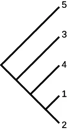 A phylogenetic tree or cladogram illustrating the evolutionary relationships among five labeled taxa (1, 2, 3, 4, 5).