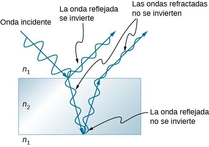 La imagen es un dibujo esquemático de la luz que sufre la interferencia de una película delgada. La onda reflejada desde la parte superior de la película se invierte; la onda reflejada desde la parte inferior de la película no se invierte; las ondas refractadas no se invierten.