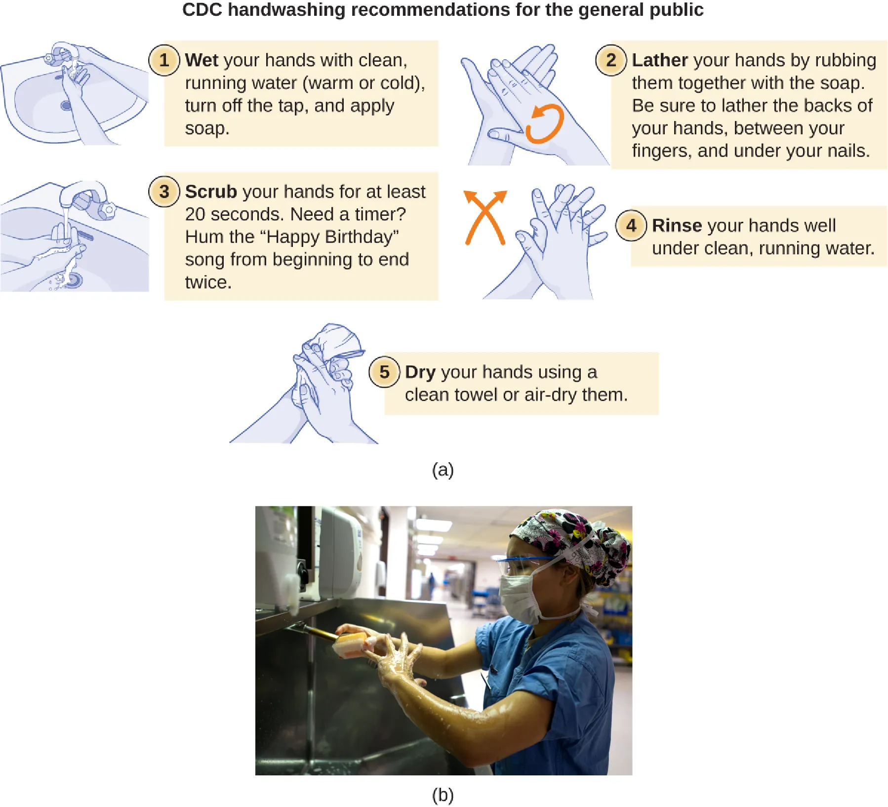 a) CDC handwashing recommendations for the general public. 1 – wet your hands with clean, running water (warm or cold). Turn off the tap and apply soap. 2 – Lather your hands by rubbing them together with the soap. Be sure to lather the backs of your hands, between your fingers and under your nails. 3 – Scrub your hands for at least 20 seconds. Need a timer? Hum the “Happy birthday” song from beginning to end twice. 4 – Rinse your hands well under clean, running water. 5 – Dry your hands using a clean towel or air-dry them. B) A photo of a person washing their hands.