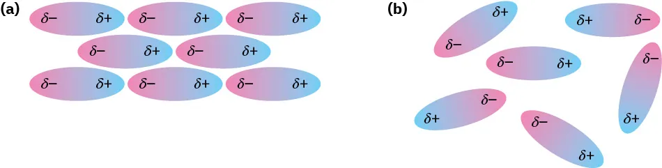 (a) Eight polar molecules arranged closely attract due to proximity of opposite charges. (b) Six polar molecules arranged loosely repel due to proximity of like charges.