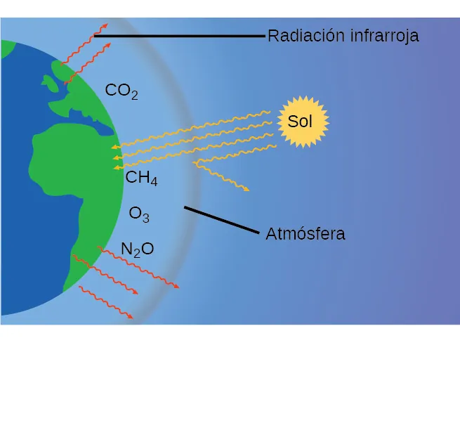 Este diagrama muestra la mitad de una vista bidimensional de la Tierra en azul y verde a la izquierda de la imagen. A una corta distancia fuera del hemisferio hay un arco gris. Un segmento de línea conecta la marca "Atmósfera" con la región entre el hemisferio y el arco gris. En esta región, cerca de la superficie de la tierra aparecen las fórmulas químicas C O subíndice 2, C H subíndice 3 y N subíndice 2 O. Cinco flechas rojas formadas por líneas onduladas se extienden desde las regiones verdes de la Tierra hasta la región marcada como "Atmósfera" y un poco más allá La marca "Radiación infrarroja" señala una de estas flechas rojas. A bastante distancia fuera del arco gris aparece un círculo amarillo con un límite irregular. Este círculo está marcado como "Sol". De ella parten flechas amarillas con líneas onduladas que se extienden hacia la tierra. Tres de las flechas se extienden hasta la región verde de la tierra. Una de las flechas parece reflejarse en el arco gris, haciendo que su trayectoria se aleje de la tierra.