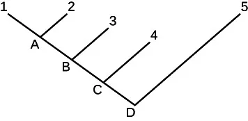 A phylogenetic tree begins with organism 1, with four branches at points A, B, C and D. The organisms at the ends of these branches are 2, 3, 4 and 5 respectively.
