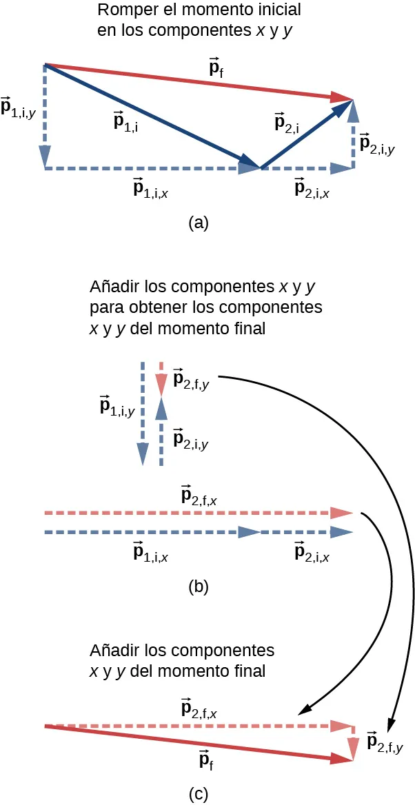 La figura a, titulada descomponer el momento inicial en componentes x y y, muestra el vector p 1 i como una flecha sólida que apunta hacia la derecha y hacia abajo. Sus componentes se muestran como flechas discontinuas: p 1 i y apunta hacia abajo desde la cola de p 1 i y p 1 i x apunta hacia la derecha desde la cabeza de p 1 i y hasta la cabeza de p 1 i. El vector p 2 i se muestra como una flecha sólida con su cola en la cabeza del vector p 1 i, y es más corto que p 1 i. El vector p 2 i apunta hacia la derecha y hacia arriba. Sus componentes se muestran como flechas discontinuas: p 2 i x apunta hacia la derecha desde la cola de p 2 i y p 2 i y apunta hacia arriba desde la cabeza de p 2 i x hasta la cabeza de p 2 i. El vector p f apunta desde la cola de p 1 i hasta la cabeza de p 2 i, apuntando hacia la derecha y ligeramente hacia abajo. La figura b, titulada sumar los componentes x y y para obtener los componentes x y y del momento final, muestra las sumas vectoriales de los componentes. P 1 i y es una flecha hacia abajo. P 2 i y es una flecha ascendente más corta, alineada con su cola en la cabeza de P 1 i y. P f y es una flecha corta hacia abajo que comienza en la cola de P 1 i y y termina en la cabeza de P 2 i y. P 1 i x es una flecha hacia la derecha. P 2 i x es una flecha más corta hacia la derecha, alineada con su cola en la cabeza de P 1 i x. P f x es una flecha larga hacia la derecha que comienza en la cola de P 1 i x y termina en la cabeza de P 2 i x. La figura c, titulada sumar los componentes x y y del momento final, muestra el triángulo rectángulo formado por los lados p f x y p f y y la hipotenusa p f. Las flechas de la figura b indican que p f x y p f y son iguales en las figuras b y c.