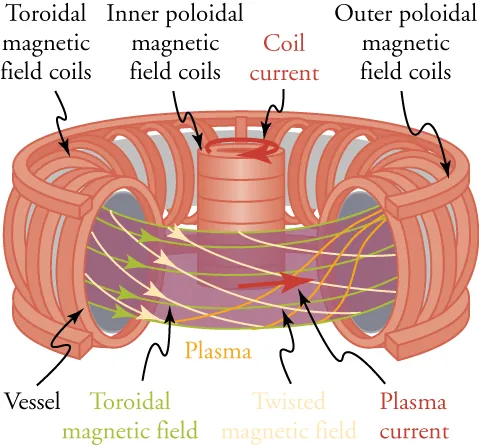 The figure shows parts of Tokamak confinement model.