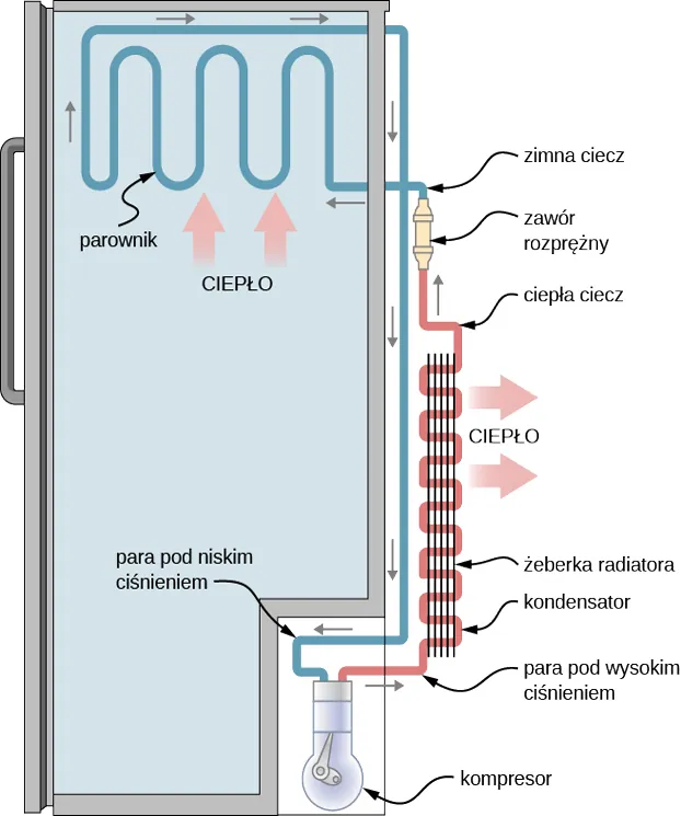 Schemat działania lodówki.