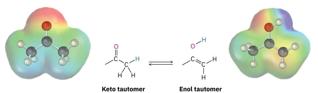 The electrostatic potential map with the ball-and-stick model of keto and enol tautomers of a carbonyl compound. Black, gray, and red spheres represent carbon, hydrogen, and oxygen, respectively.